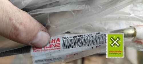IMG_20230828_104453